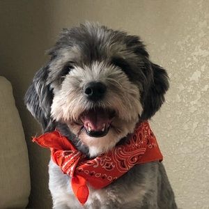 Meet your Posher, Kady